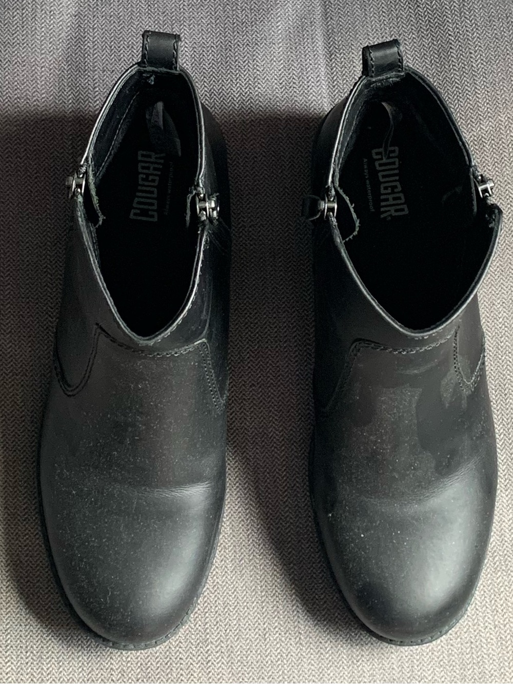 Cougar black ankle boots